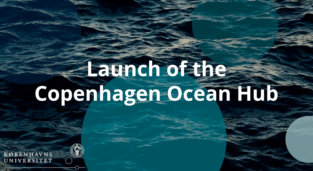 Copenagen Ocean Hub graphics
