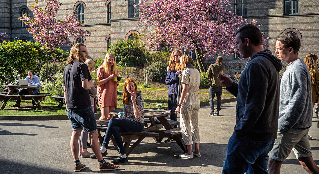 Studieliv i gårdhave på SAMF